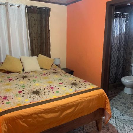 Monteverde Monkey Hostel Dış mekan fotoğraf
