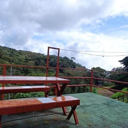 Monteverde Monkey Hostel Dış mekan fotoğraf