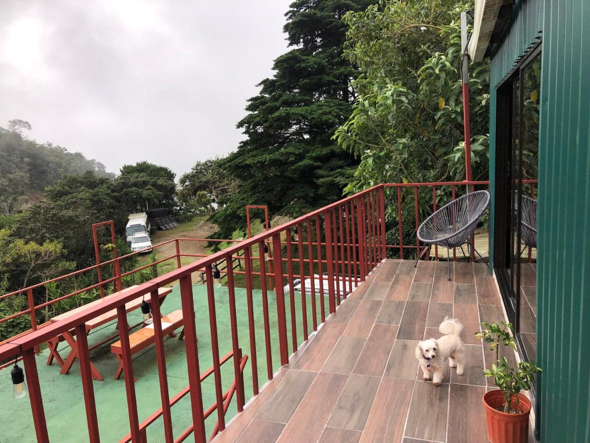 Monteverde Monkey Hostel Dış mekan fotoğraf