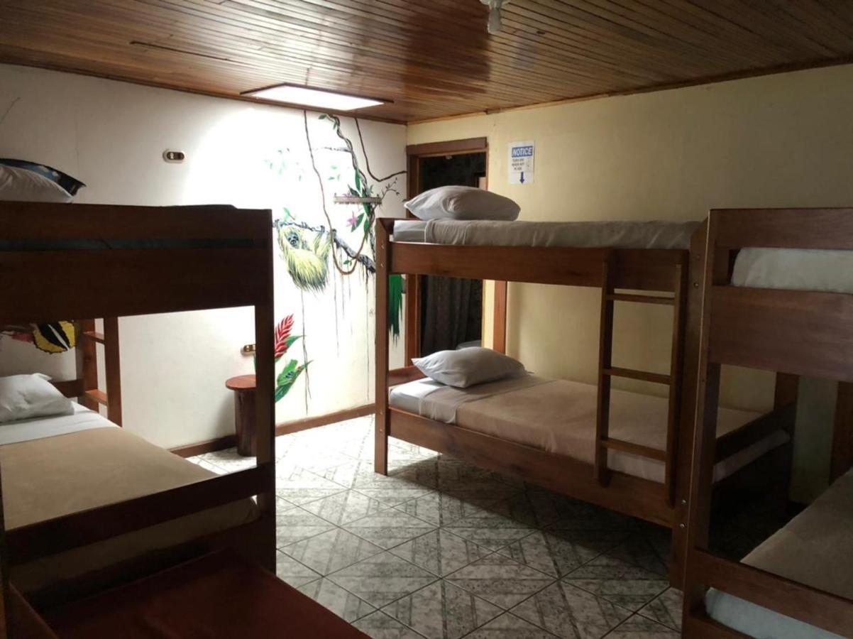 Monteverde Monkey Hostel Dış mekan fotoğraf