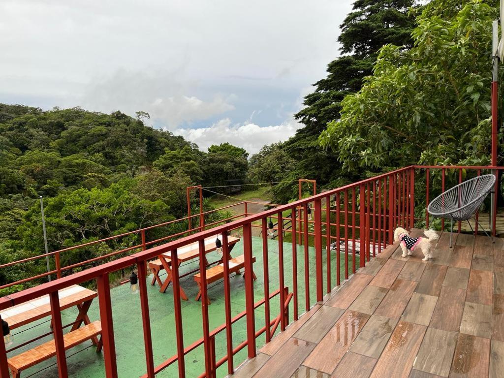 Monteverde Monkey Hostel Dış mekan fotoğraf