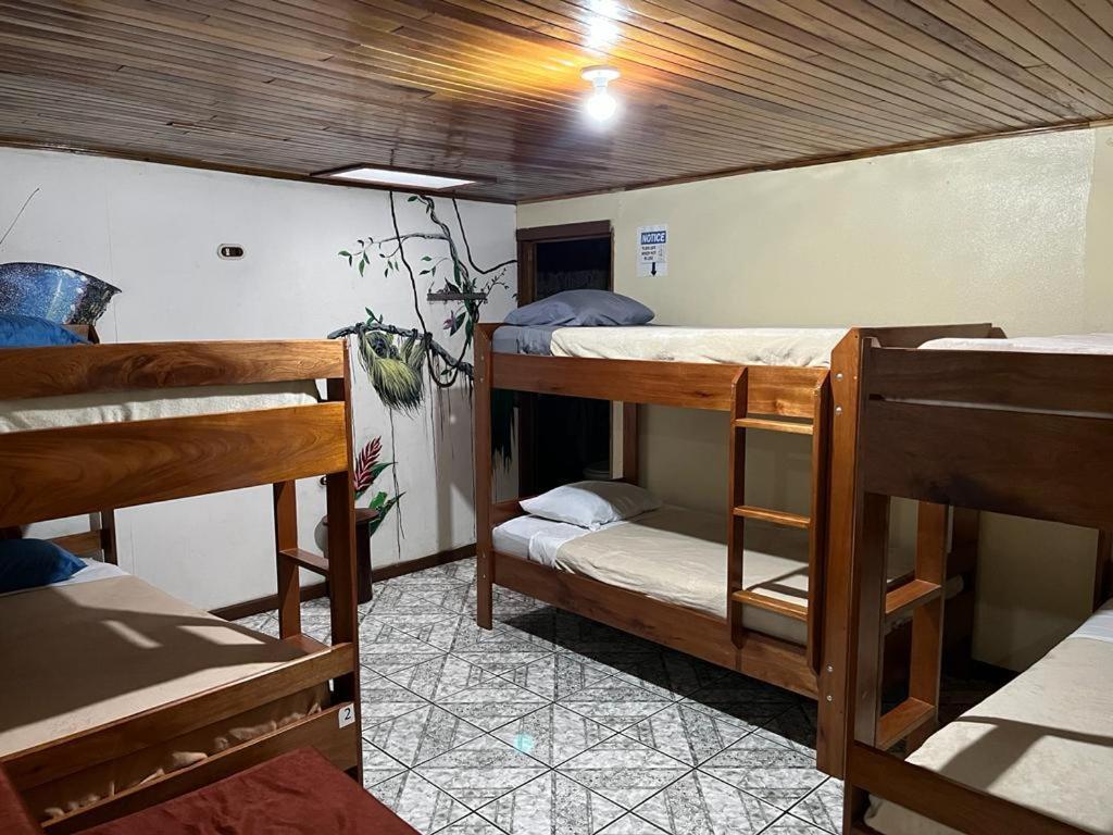 Monteverde Monkey Hostel Dış mekan fotoğraf