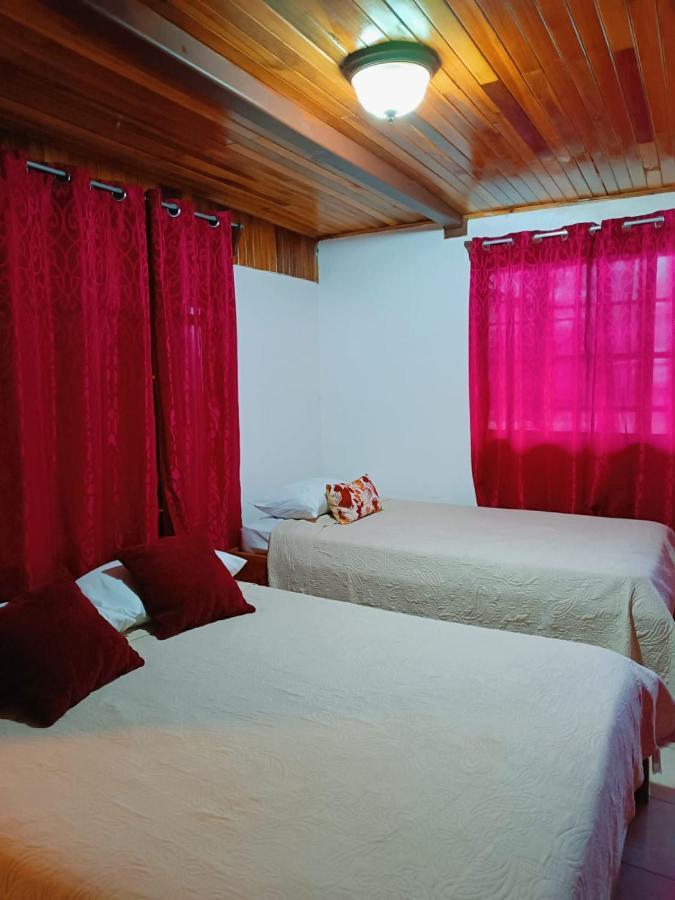 Monteverde Monkey Hostel Dış mekan fotoğraf