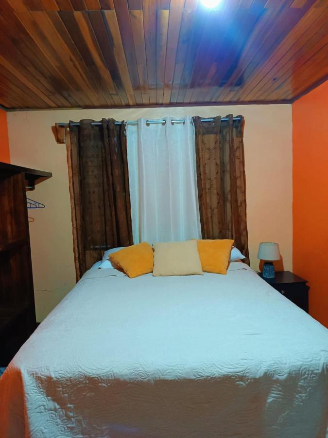 Monteverde Monkey Hostel Dış mekan fotoğraf