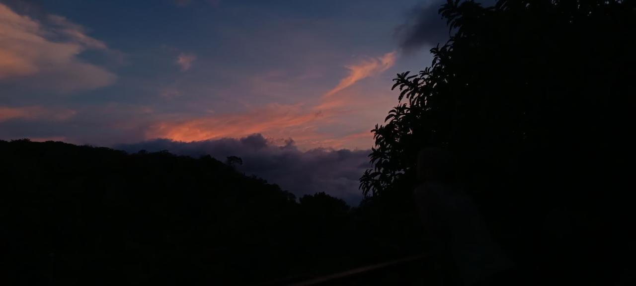 Monteverde Monkey Hostel Dış mekan fotoğraf